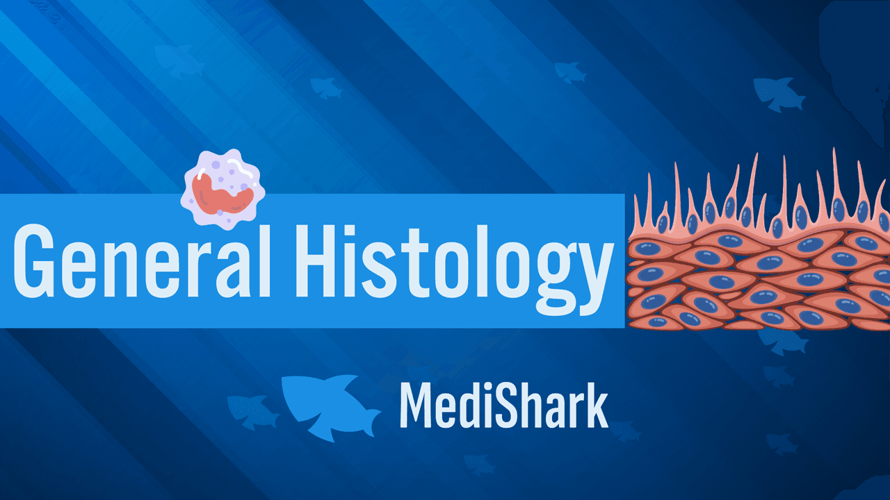 General Histology