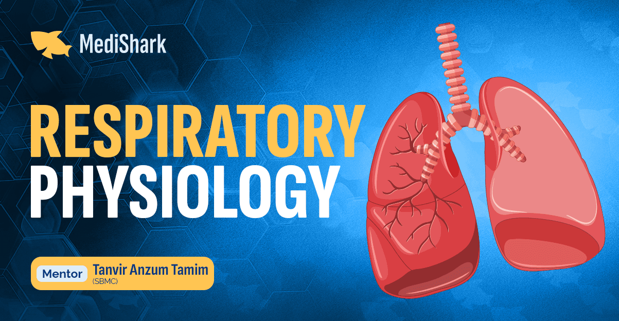 Respiratory Physiology