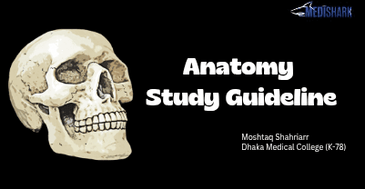 Anatomy Study Guideline 