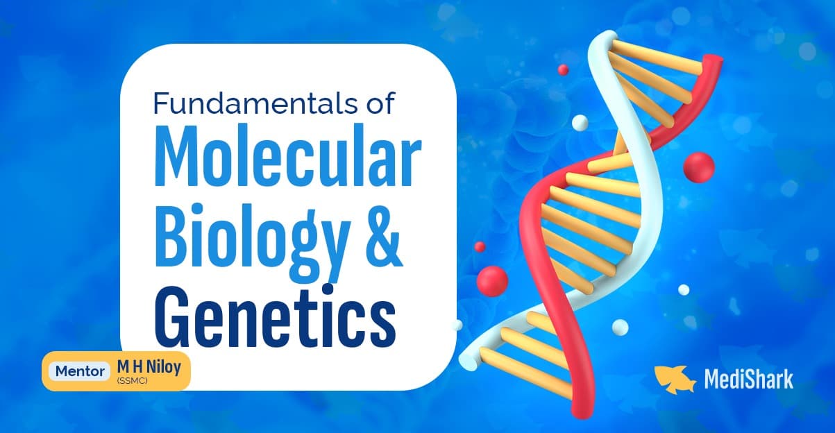 Fundamentals of Molecular Biology and Genetics 