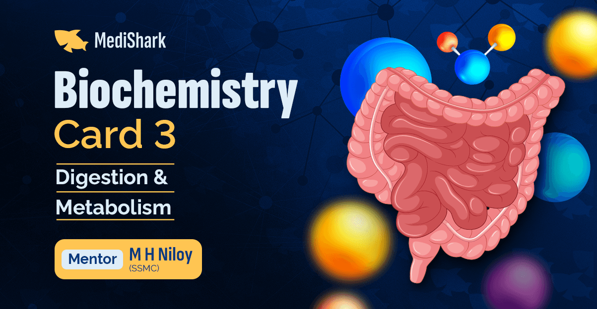 Digestion and Metabolism Biochemistry