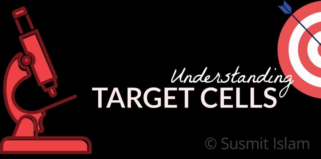Target Cells: কী কেন কীভাবে