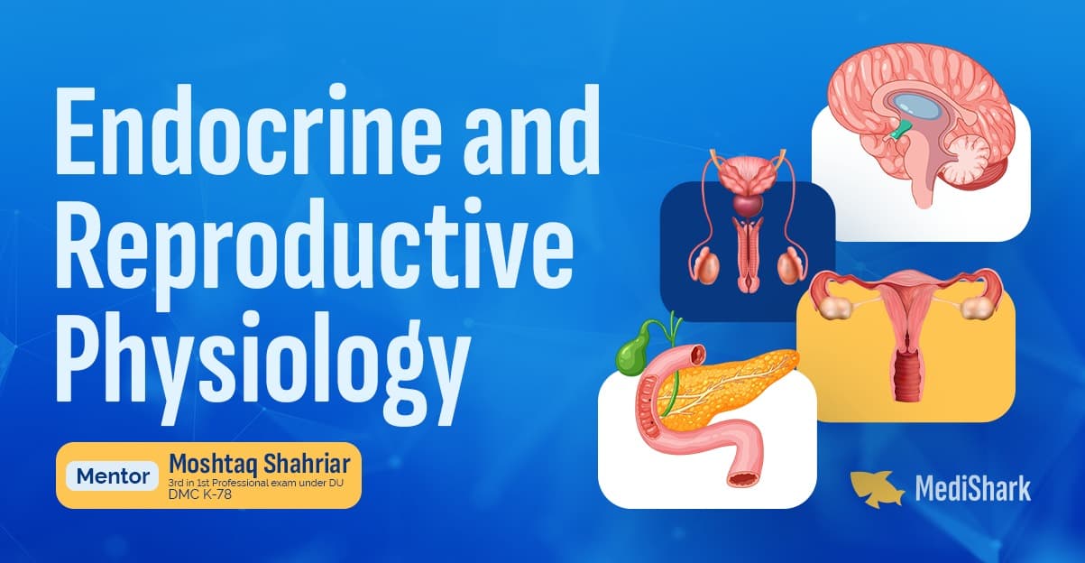 Endocrine and Reproductive Physiology