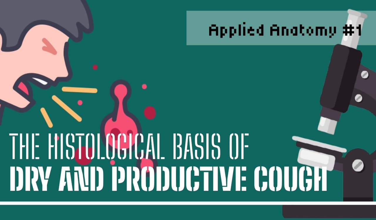 The Histological Basis of Dry and Wet Cough | Applied Anatomy #1